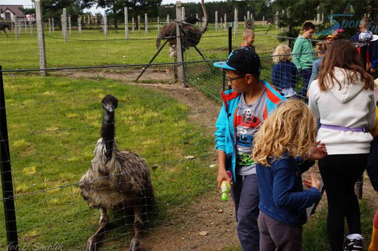 Wycieczka szkolna w parku zoologicznym